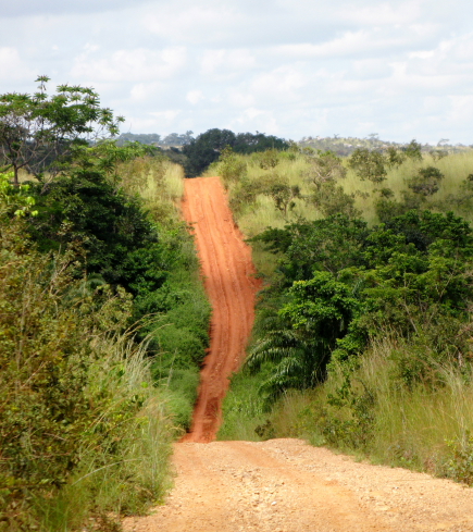 track through northern angola.JPG